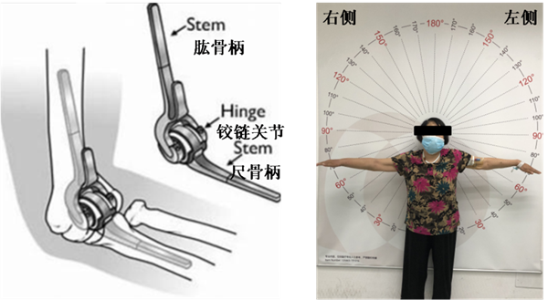 图片2_副本.png 图片2_副本.png