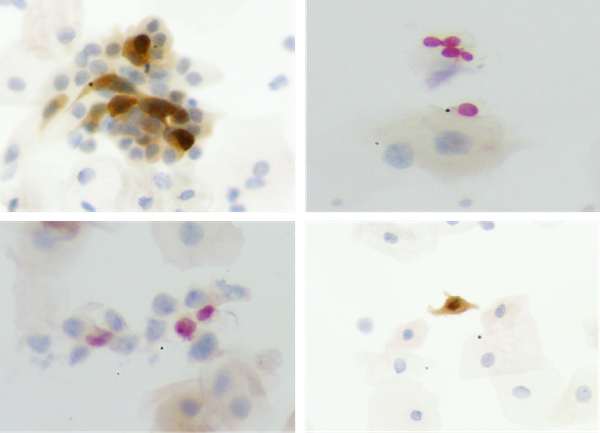 图片2_副本.png 图片2_副本.png