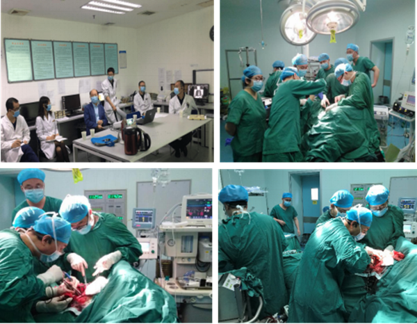 图片2_副本.png 图片2_副本.png