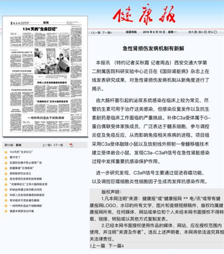 2019年8月19日 健康报：急性肾损伤发病机制有新解.jpg