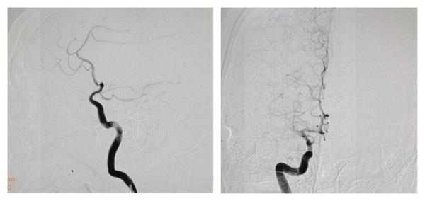 图片4_副本.png 图片4_副本.png