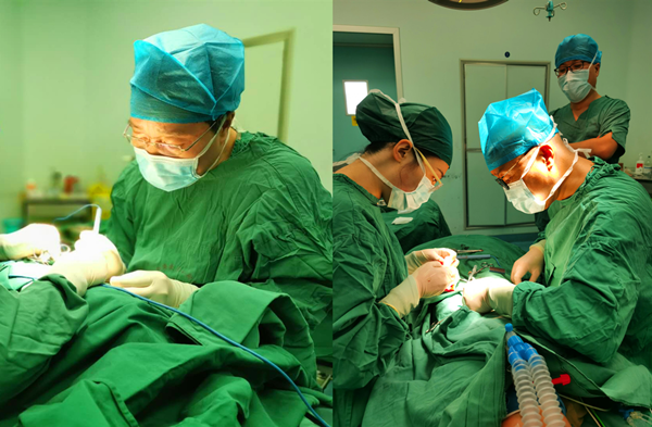 图片2_副本.png 图片2_副本.png