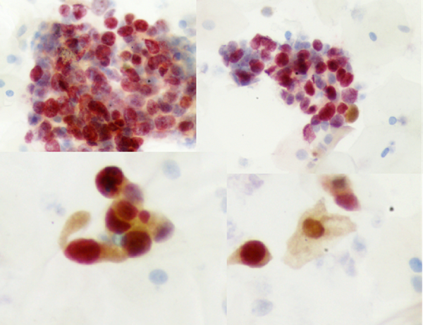 图片3_副本.png 图片3_副本.png