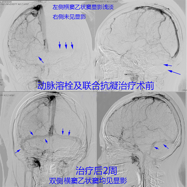 图片1_副本.png