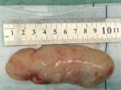 图片3.png 图片3.png