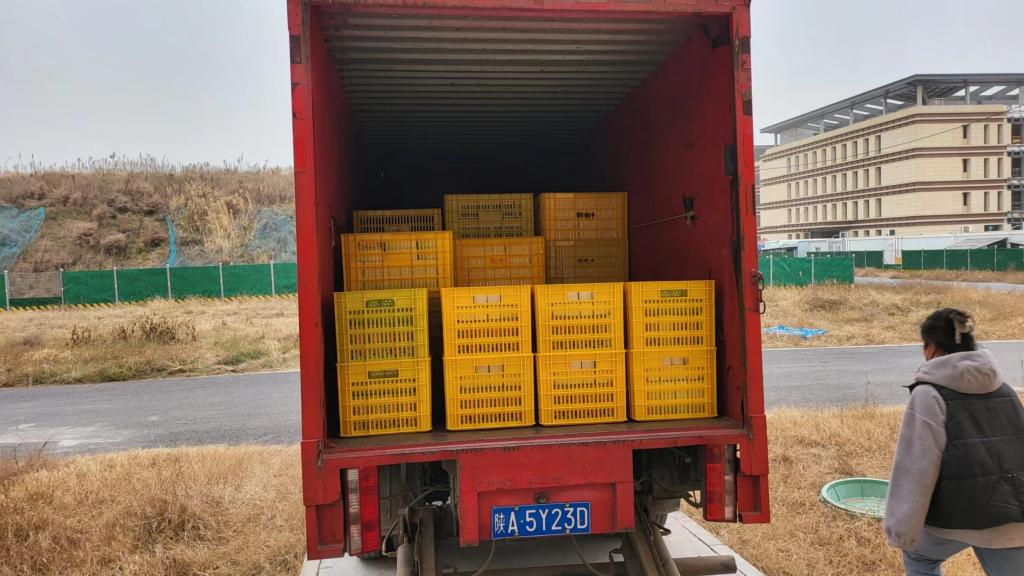 801b96058cd7d5fcd0e18f926b5fa18.jpg 801b96058cd7d5fcd0e18f926b5fa18.jpg