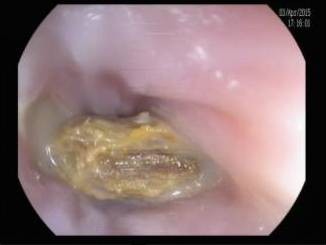 clip_image002_副本.jpg