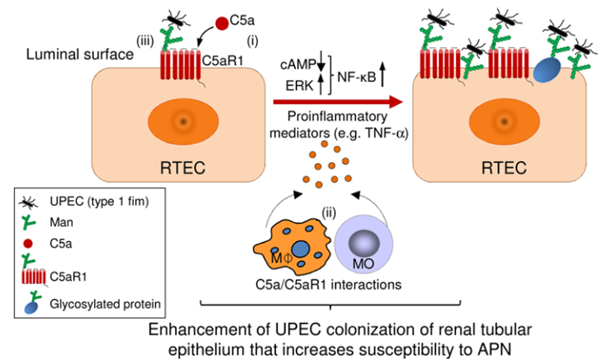 1514884692(1).png 1514884692(1).png