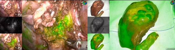 4_副本_副本_副本.jpg 4_副本_副本_副本.jpg