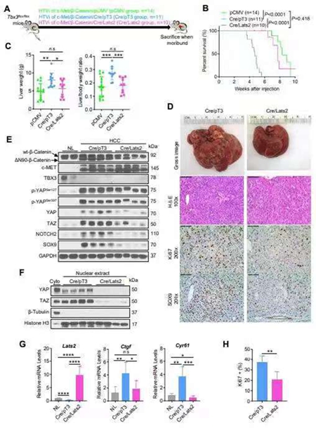 微信图片_202108101721352_副本.jpg 微信图片_202108101721352_副本.jpg