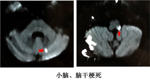 图片1_副本.jpg 图片1_副本.jpg