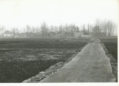 06.jpg