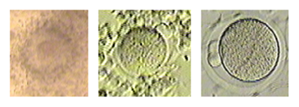 image001_副本.png