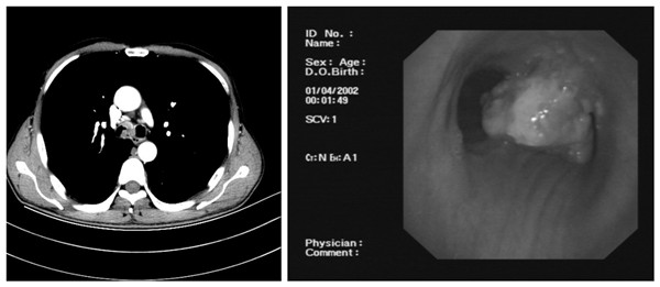 2图1_副本.jpg 2图1_副本.jpg