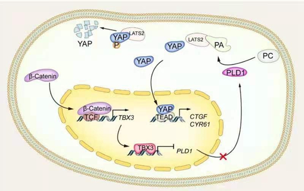 微信图片_20210810172135_副本.jpg 微信图片_20210810172135_副本.jpg
