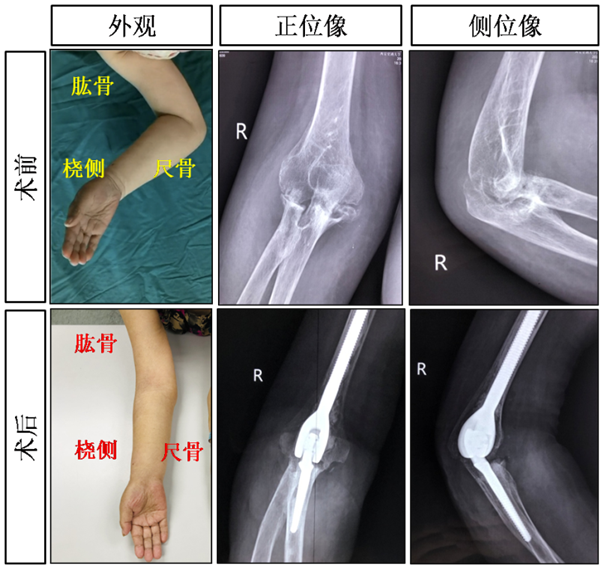 图片1_副本.png 图片1_副本.png